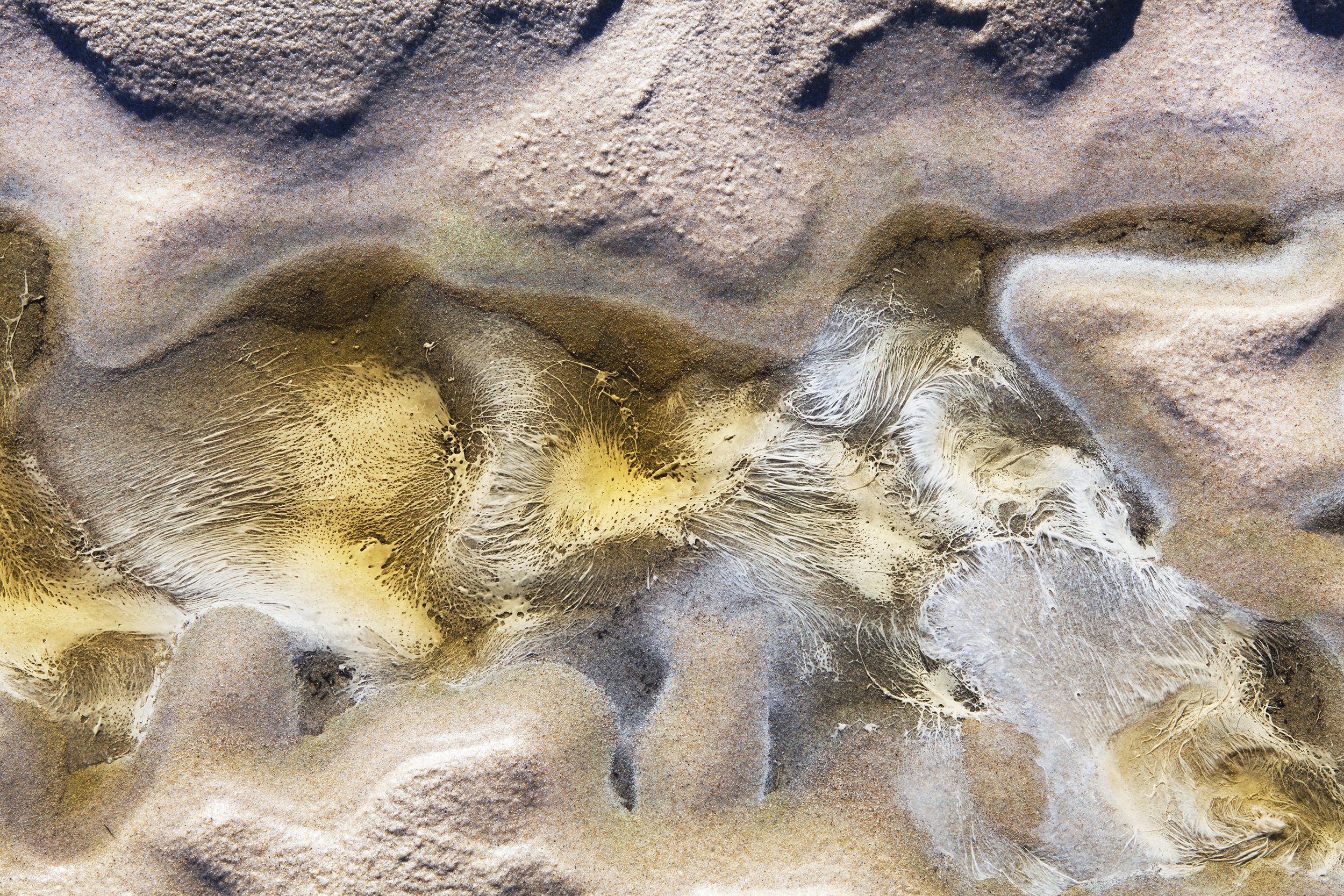 015JT-Natures paint.jpg