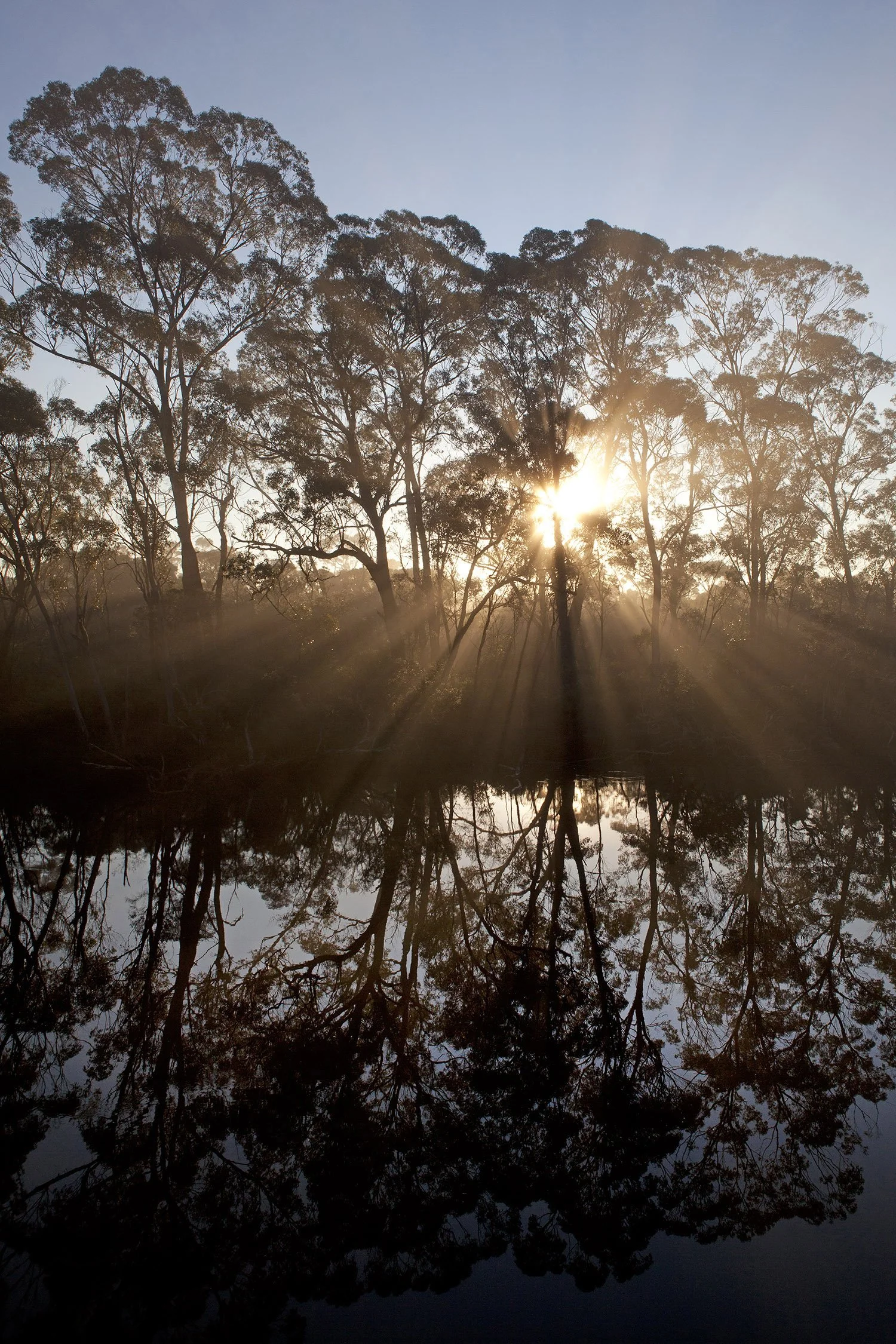Websize Misty sunrise IMG_0762 copy.jpg