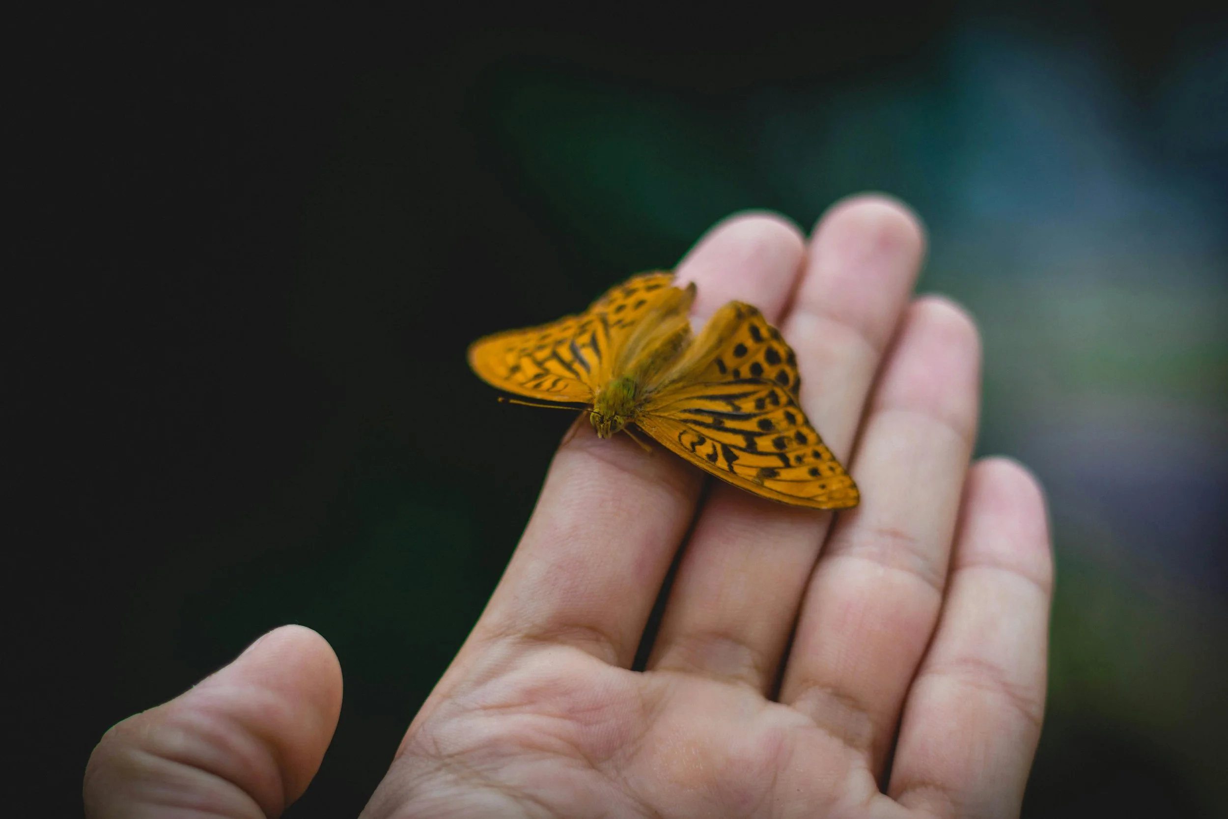  💚 Get Ready for Mental Health Month | More Good Days 💚