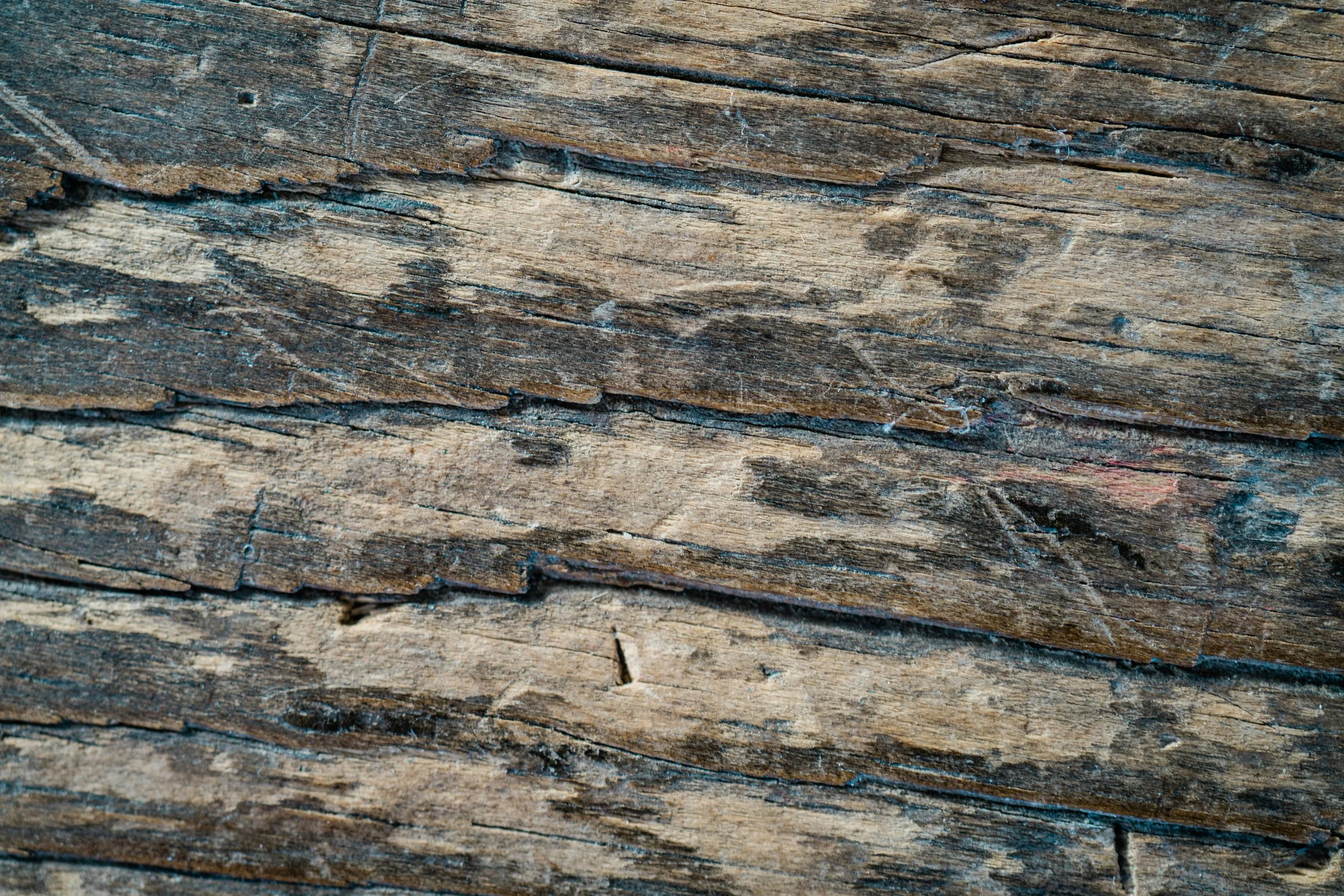 pexels-thepaintedsquare-11098241.jpg
