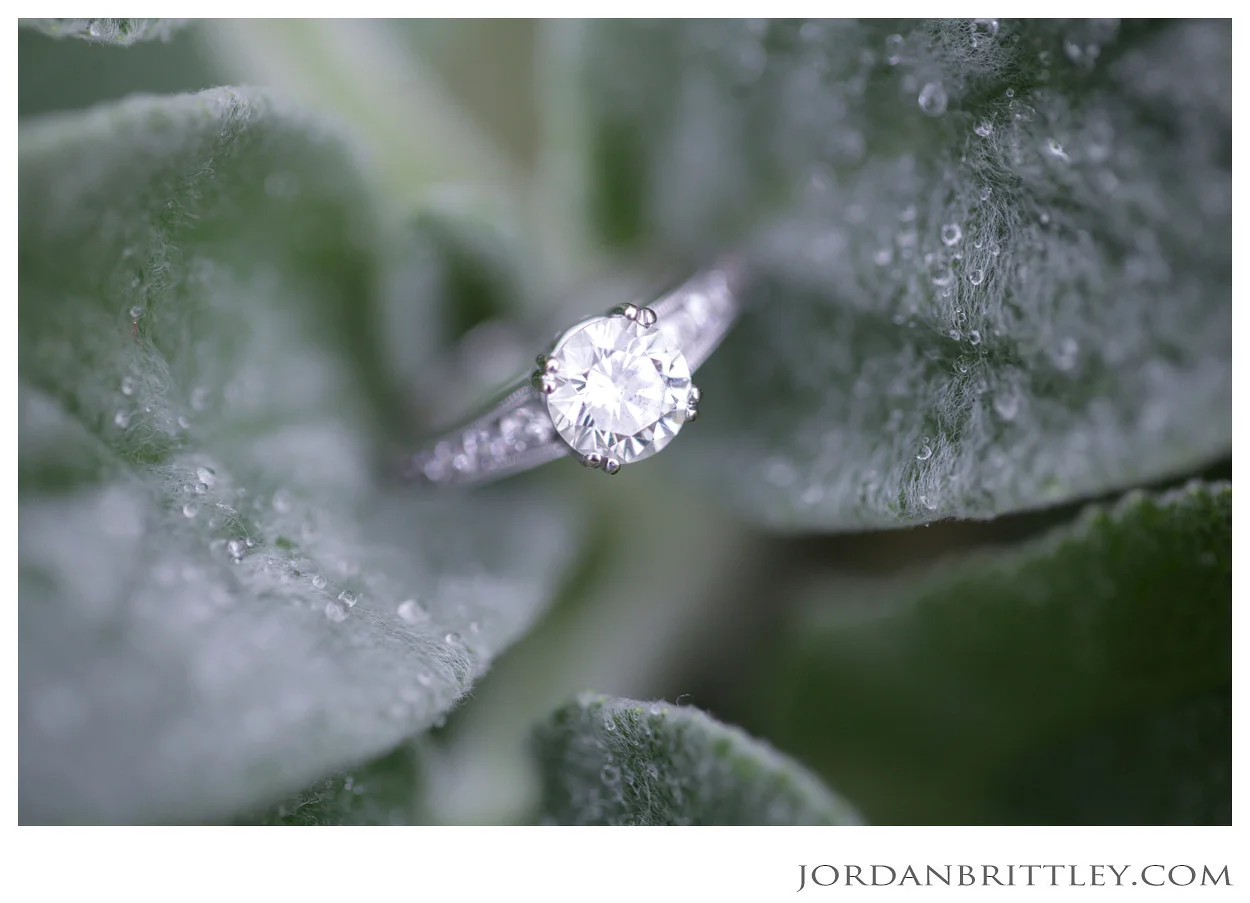 St Louis Wedding Photographer | International Wedding Photographer | Jordan Brittley_105