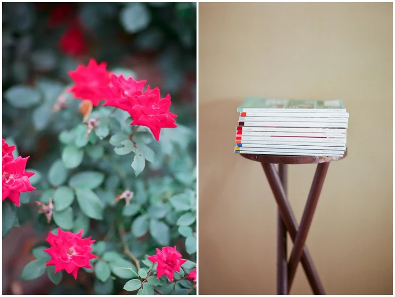 Learning Film Photography - Canon 1v Fuji 400H by Jordan Brittley_002