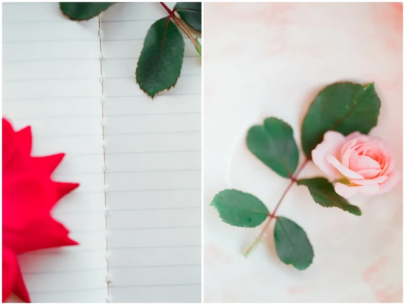 Learning Film Photography - Canon 1v Fuji 400H by Jordan Brittley_004