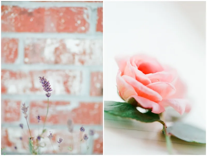 Learning Film Photography - Canon 1v Fuji 400H by Jordan Brittley_007