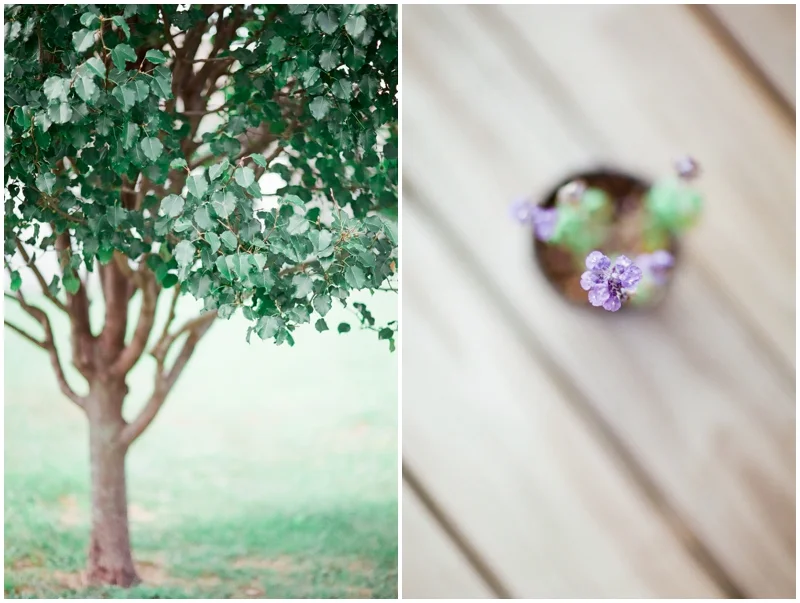 Learning Film Photography - Canon 1v Fuji 400H by Jordan Brittley_010