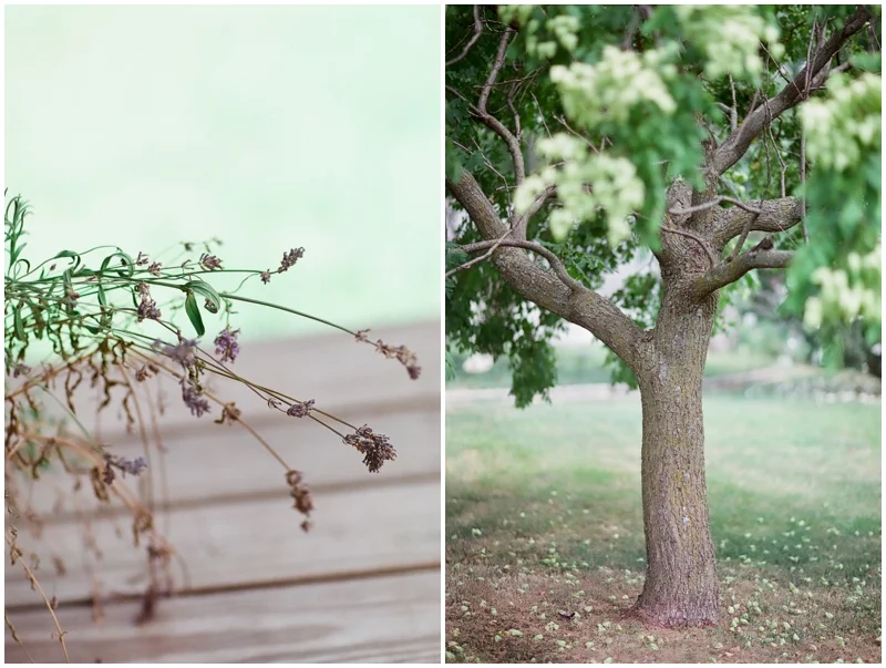 Learning Film Photography - Canon 1v Fuji 400H by Jordan Brittley_011