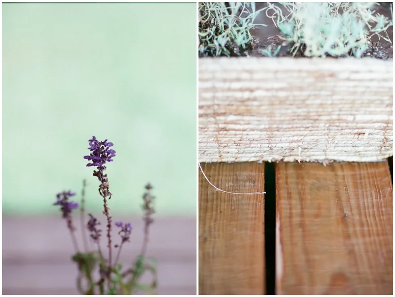 Learning Film Photography - Canon 1v Fuji 400H by Jordan Brittley_015