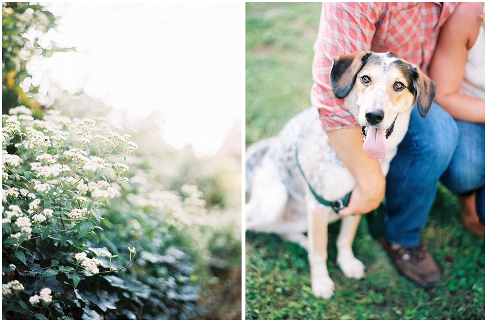 Engagement photos at Kuhs Estate with Dogs