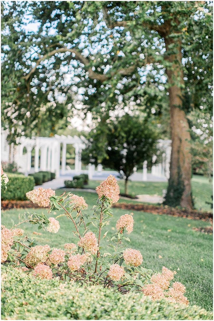 Gorgeous landscaping at Haseltine Estate in Springfield MO