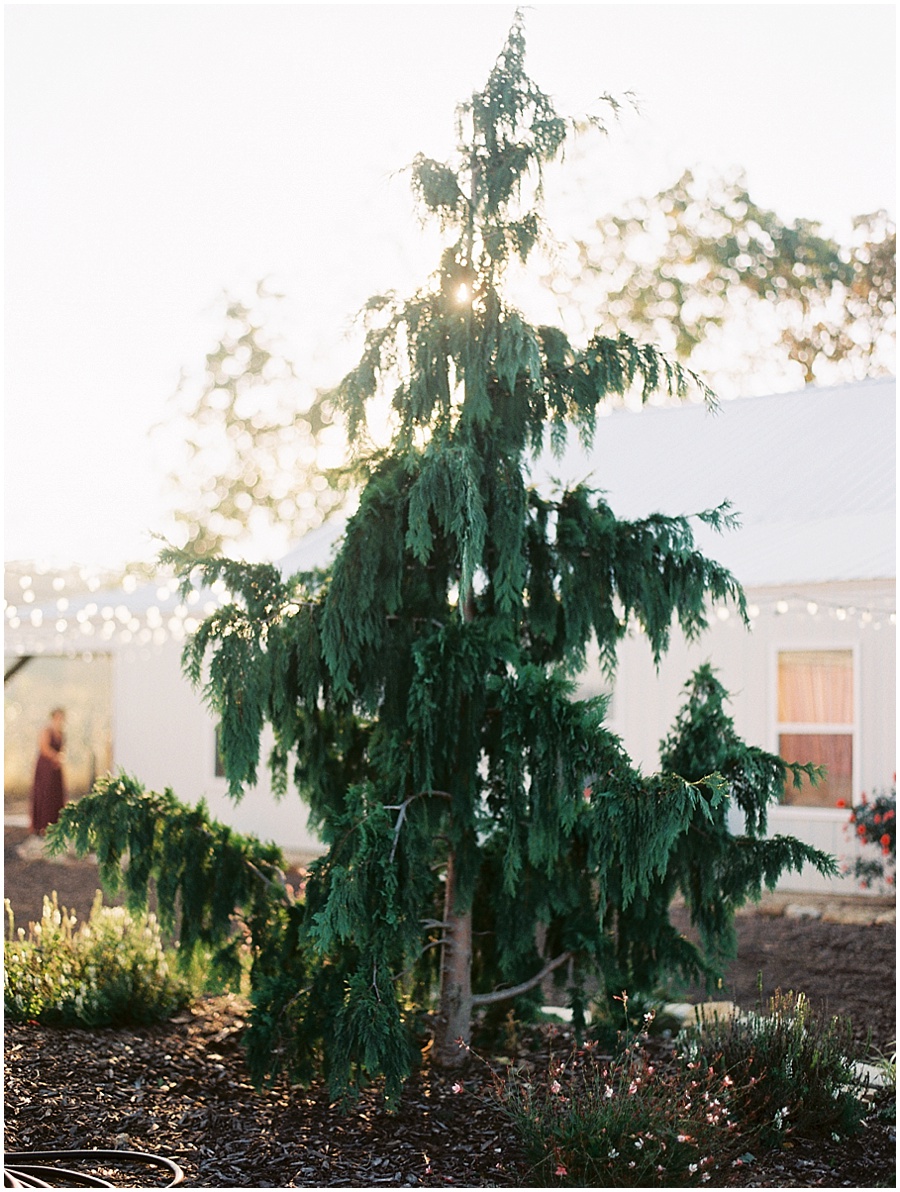 Springfield Missouri Outdoor Wedding Wedding Photos | Garden Photographer