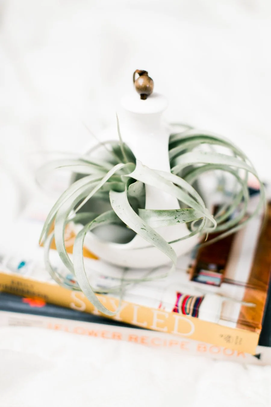 The Do's and Don'ts of light and airy photos_0004.jpg