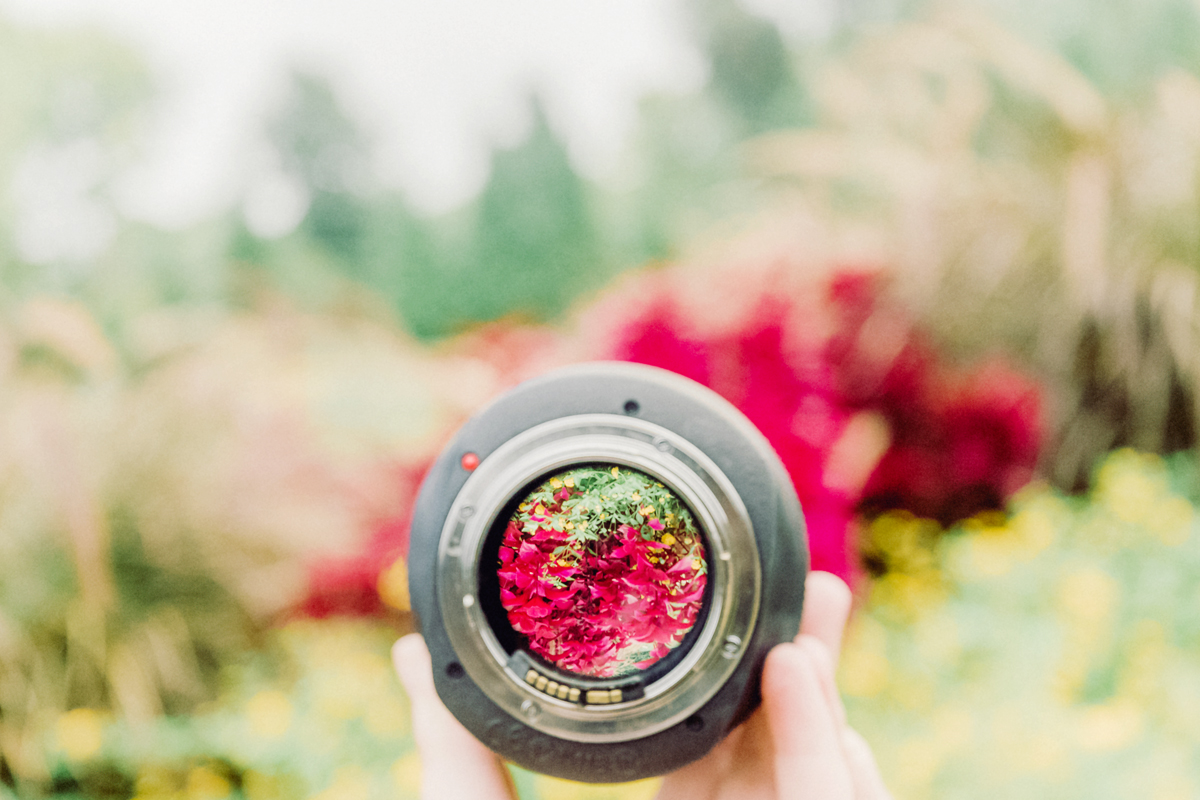 free camera settings for light and airy photos.jpg