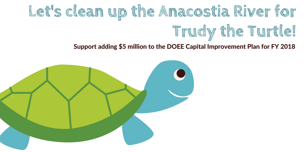 trudytheturtle.png