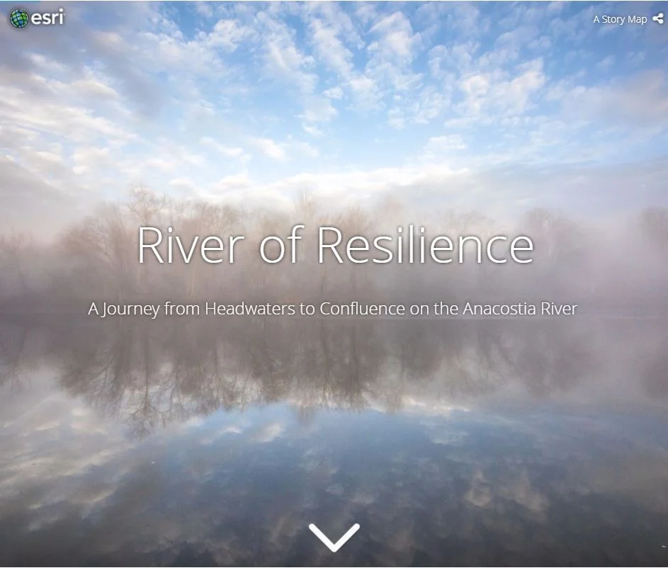 Explore the Anacostia Watershed in this Interactive Online Exhibit!