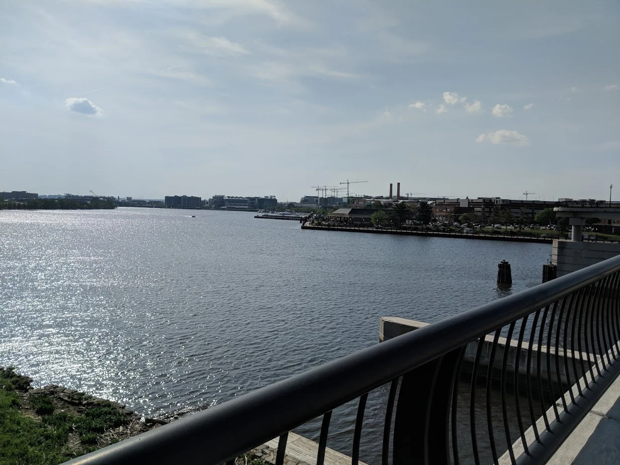 Cranes dot the skyline on west of the Anacostia River. 
