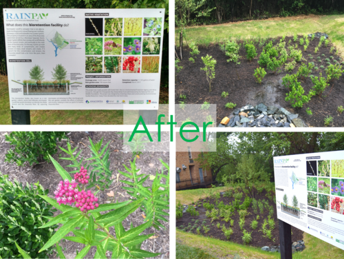 Progressive National Baptist Convention after installation of rainpay rain garden; image: Anacostia Waterfront trust