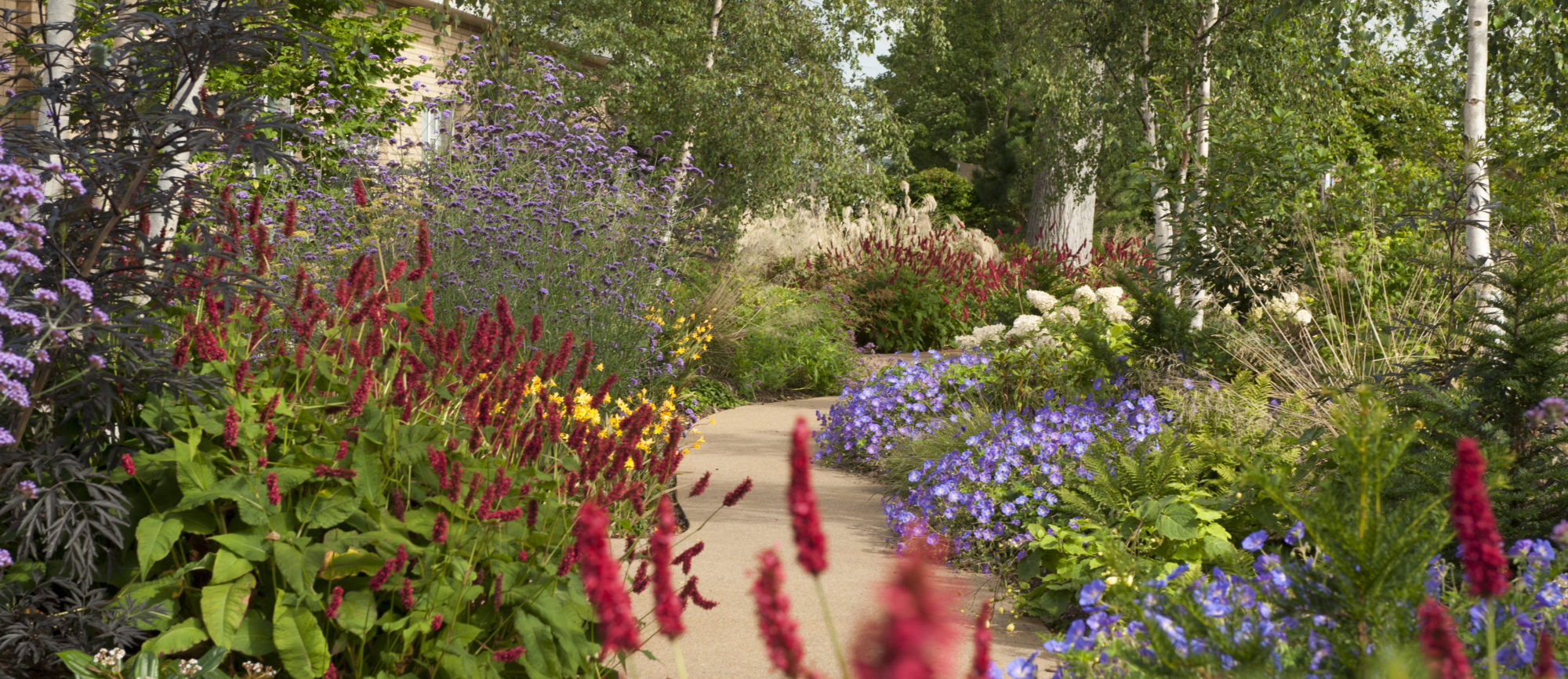 HOratio’s Healing Garden, UK