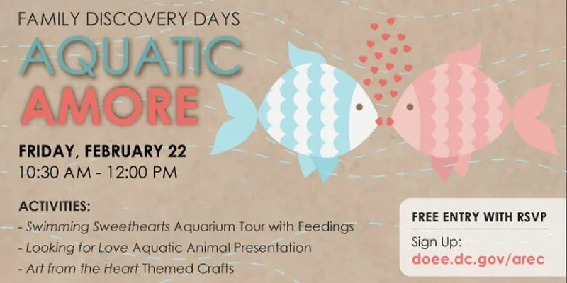 The Department of Energy and the Environment’s Aquatic Resources Education Center in Anacostia Park is celebrating Valentine’s Day Friday, February 22, 10:30 am-Noon with Aquatic Amore. The free event will feature a Swimming Sweethearts aquarium tour with feedings, Looking for Love aquatic animal presentation, and Art from the Heart themed crafts and activities. Come discover how aquatic animals communicate… and “date”!