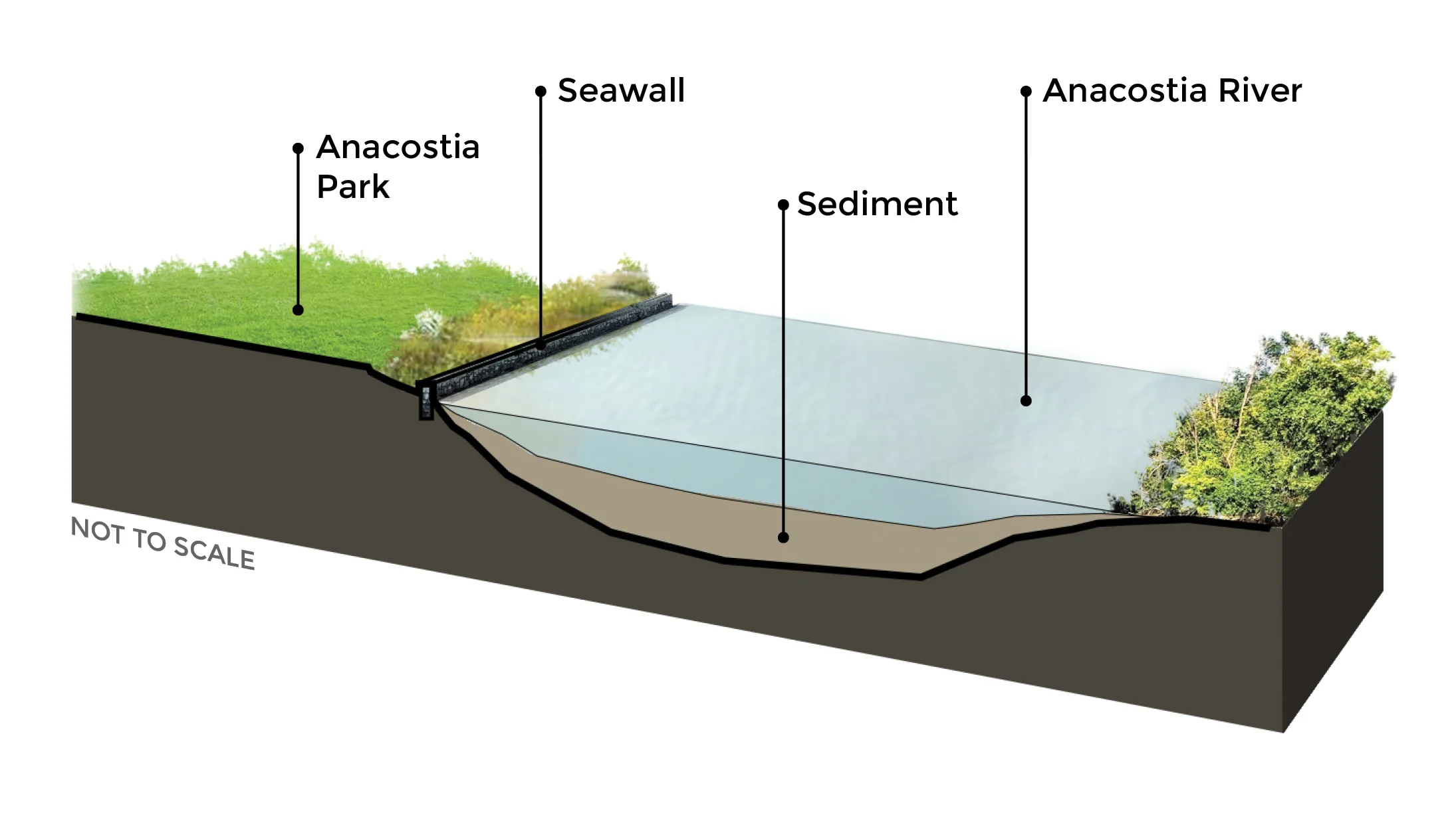 This is a “typical” diagram of the sediment at the bottom of the river. It is an illustration, not “to scale”. Anacostia Park runs along much of the river in the District but not all of it, and the seawall exists along much of the river but not all of it. The river and sediment depth varies.