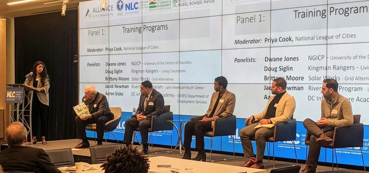 panel1-b.jpg