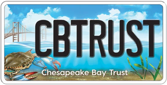Grant Resources: Racial Justice Initiative, Bay Stewardship & More!