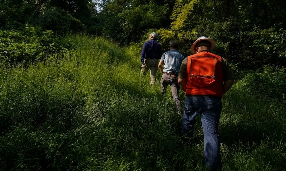 WaPo: These D.C. trees were thriving. Then they were poisoned.
