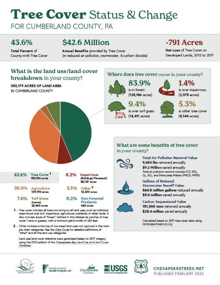 Understand your Canopy