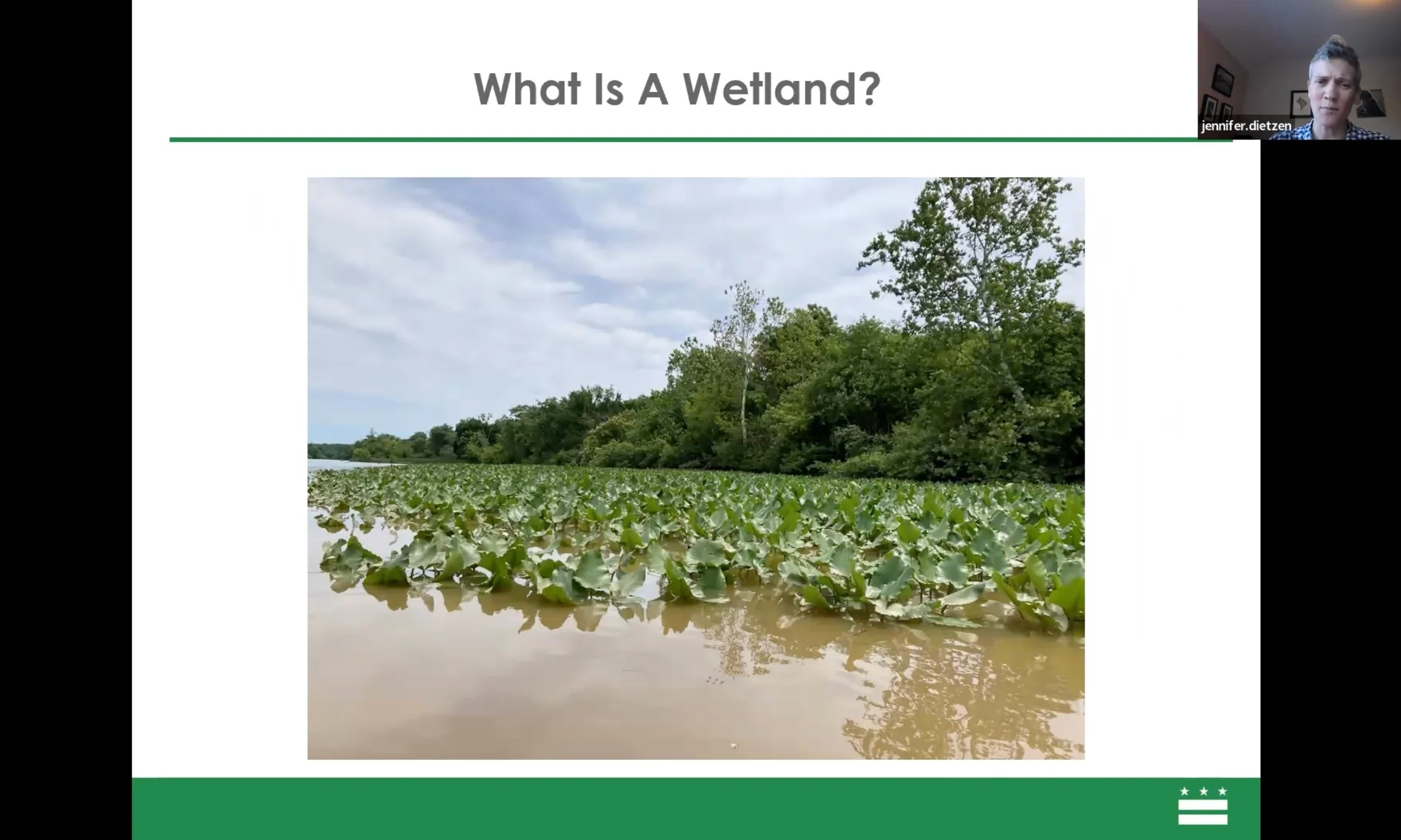 Kenilworth Park Citizens Listening Session