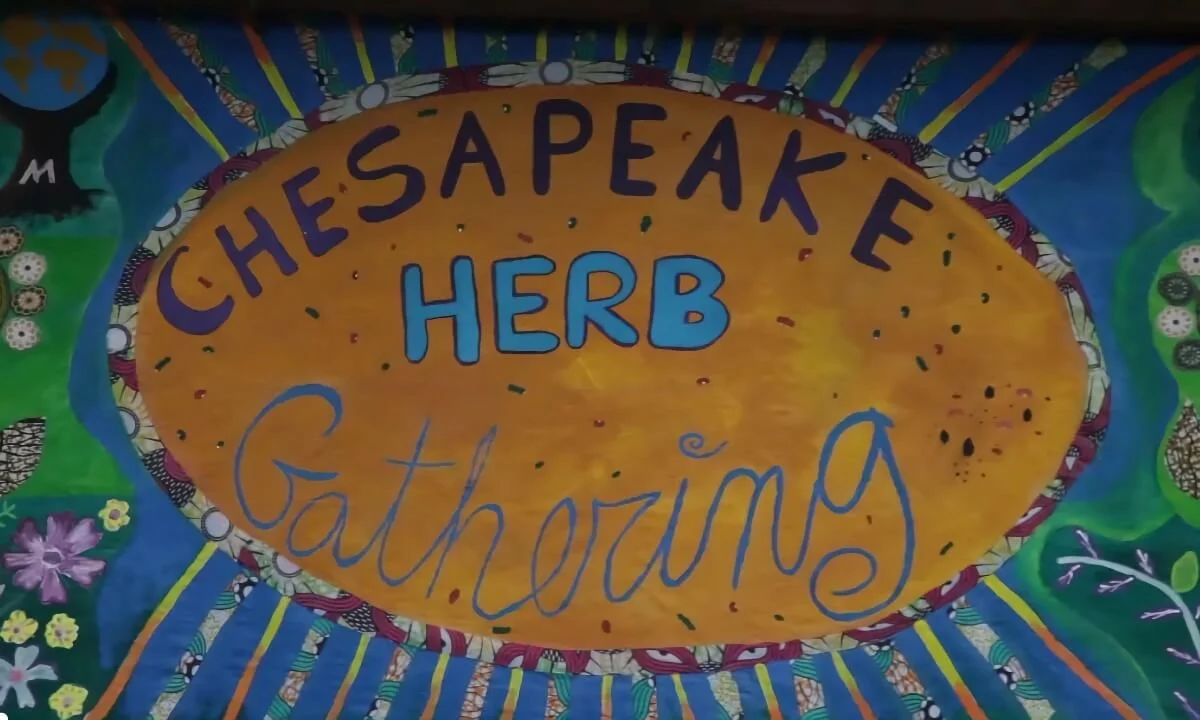 Chesapeake Herb Gathering