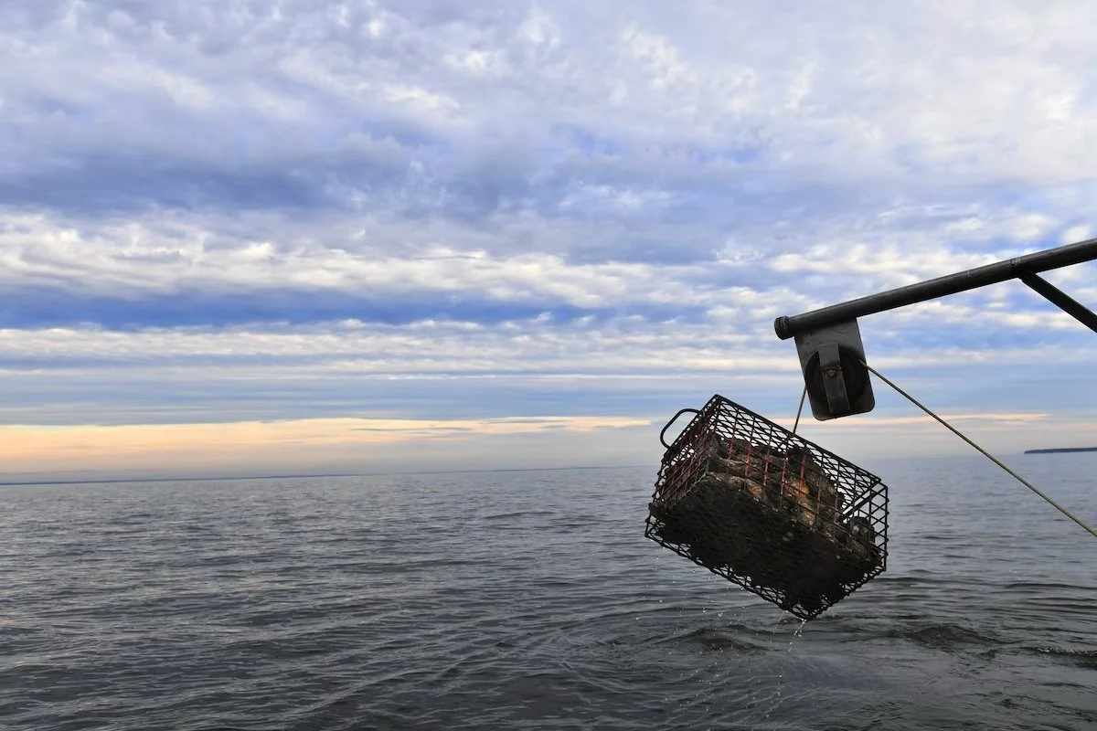 Washington Post: EPA reaches deal to police Pennsylvania’s pollution of Chesapeake Bay