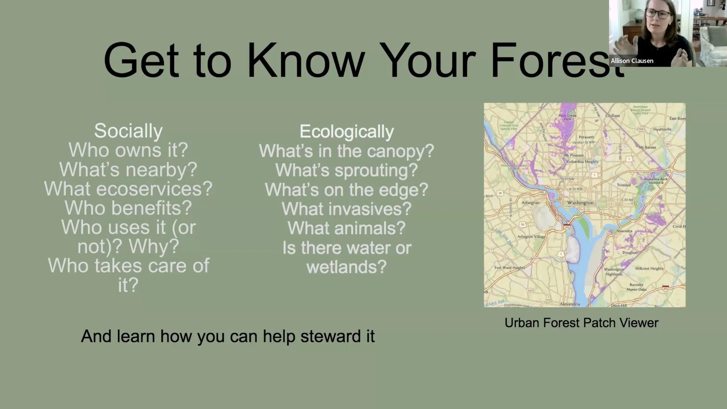 APACC Citizens Forest Health Working: Ward 7 and 8 Forest Patches