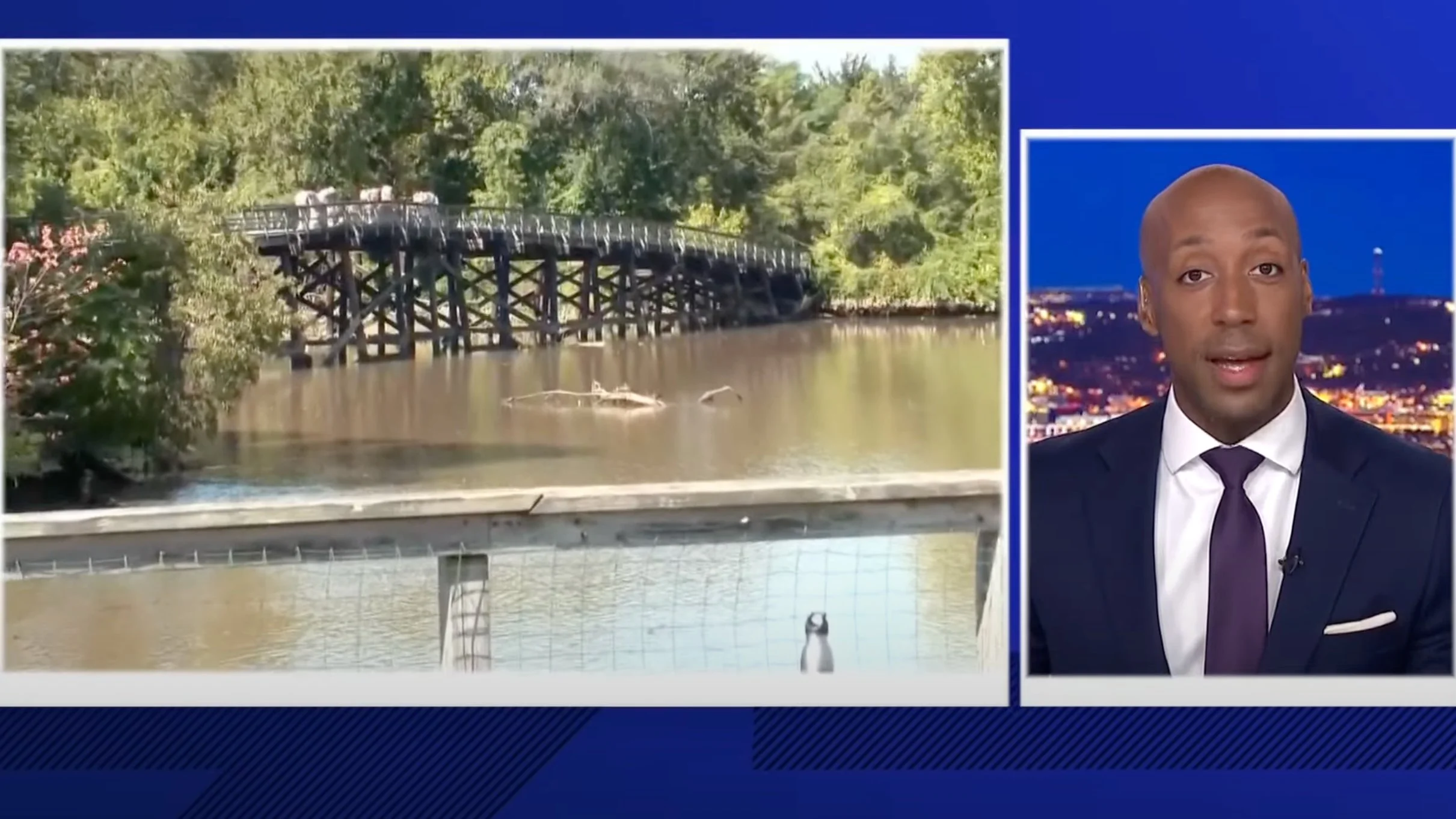 WUSA9: ANC Commissioner wants historic Anacostia River swim event canceled