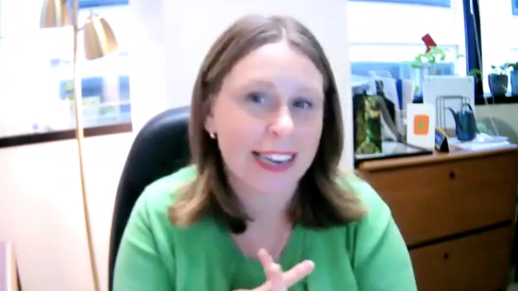 Listening Session on Exploring the Dynamics of Voter Representation