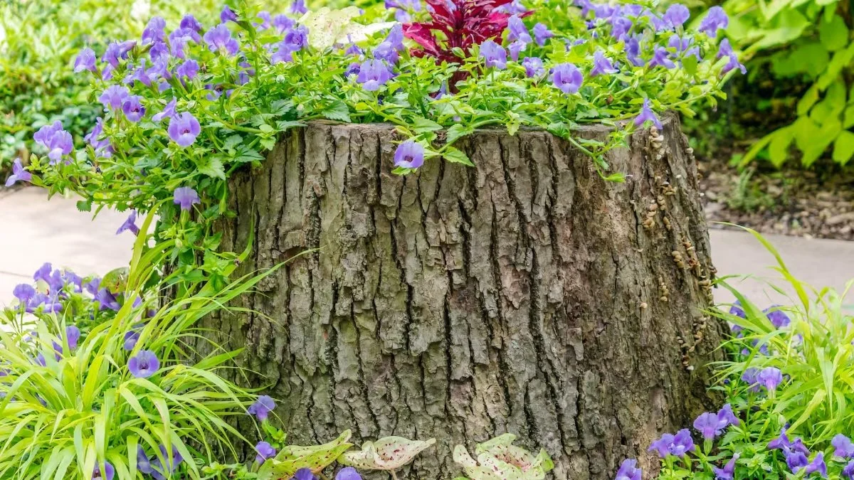 5 reasons to keep some dead wood in your garden