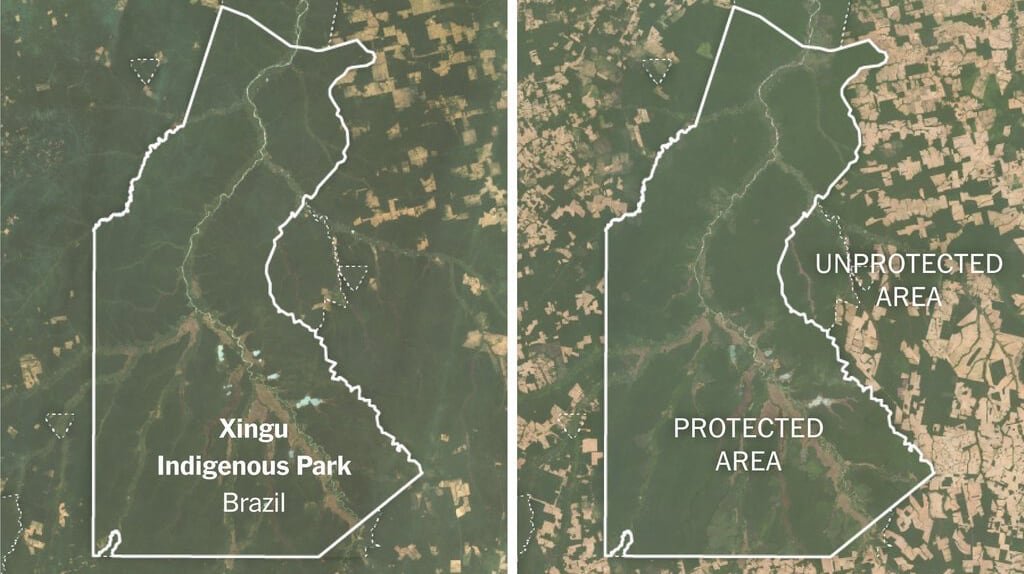 NY Times: An Ally in the Climate Fight: Nature Itself