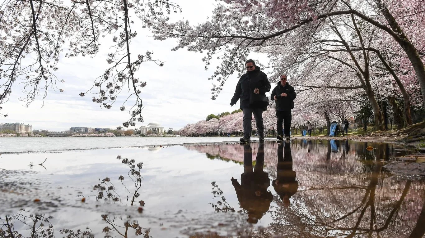 DC's Increased Flood Risk Could Wipe Out Some of the Nation's Treasures