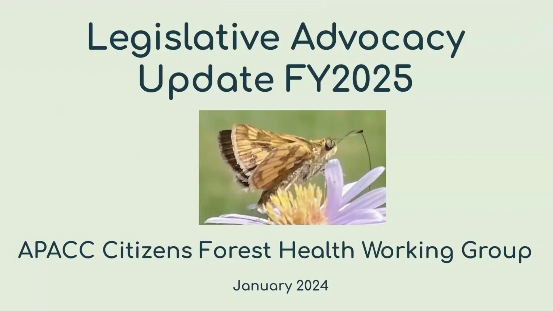 APACC Citizens Forest Health Working Group