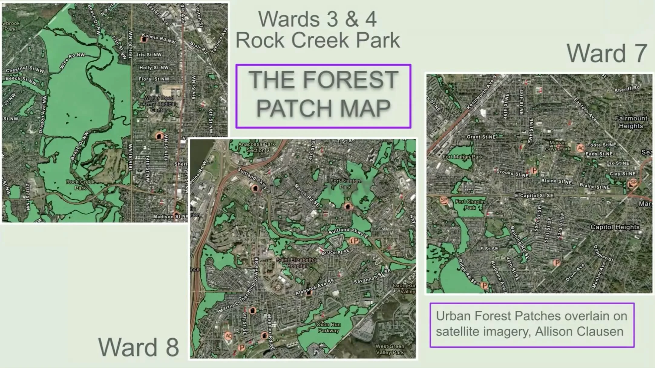 APACC Citizens Forest Health Working Group