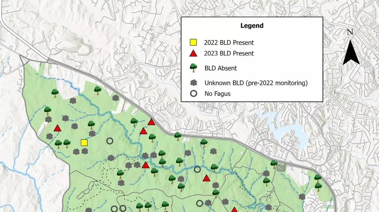 When Forests Come Down with a Bug: Forest Pests in the Greater DC Area