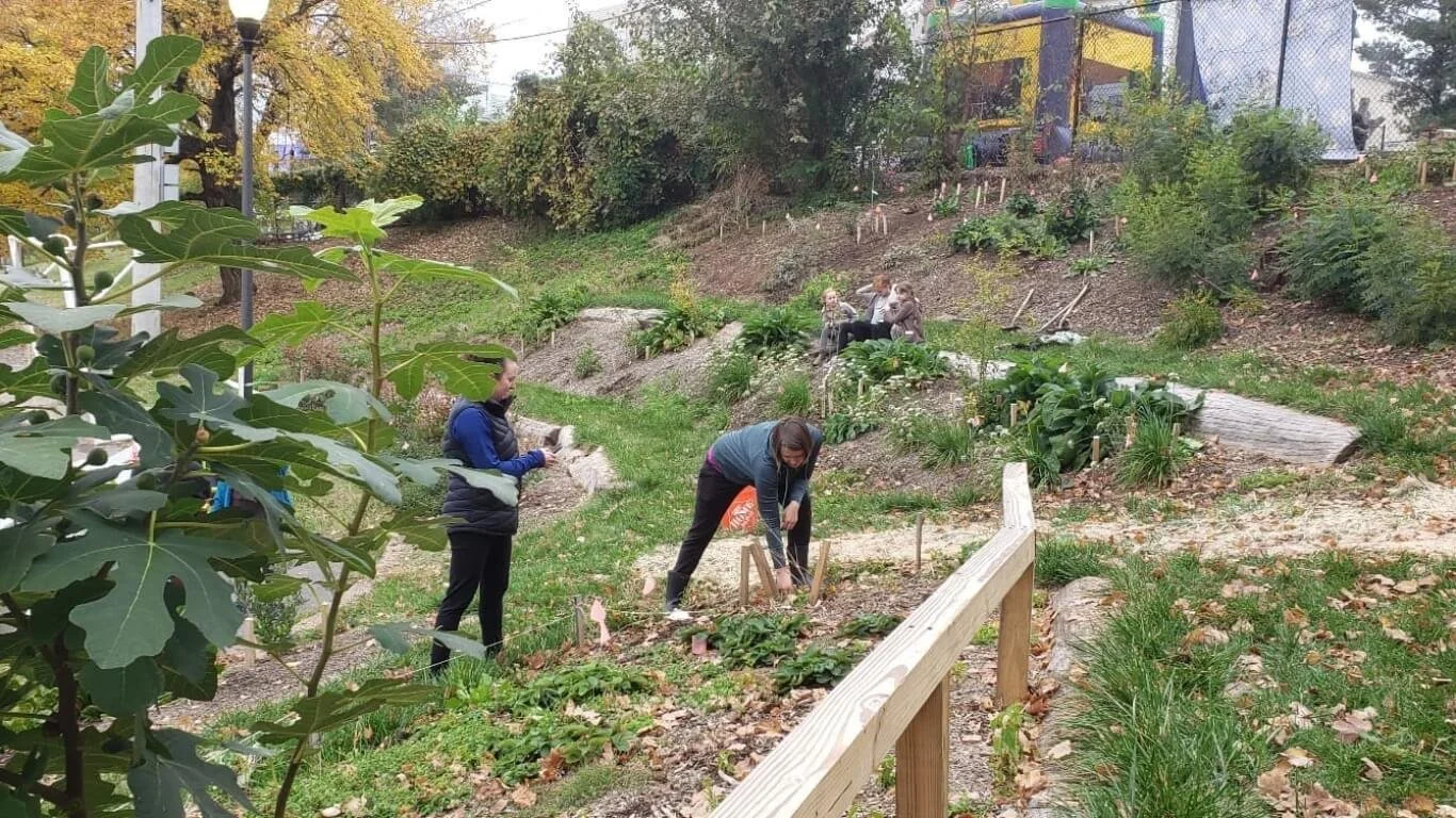 Food Forest at Langley Elementary