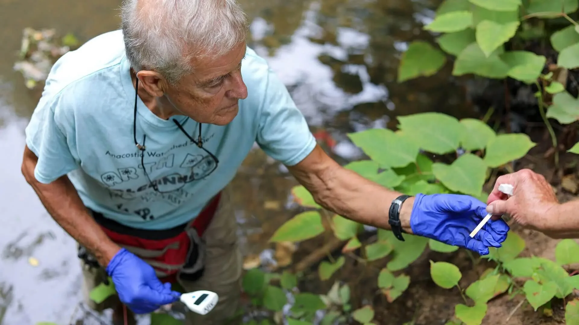 To Heal the Anacostia, Citizen Scientists Wade Into Troubled Waters