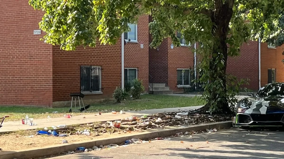 Trash in D.C.: The Impact on Mental Health and the Need for Action 