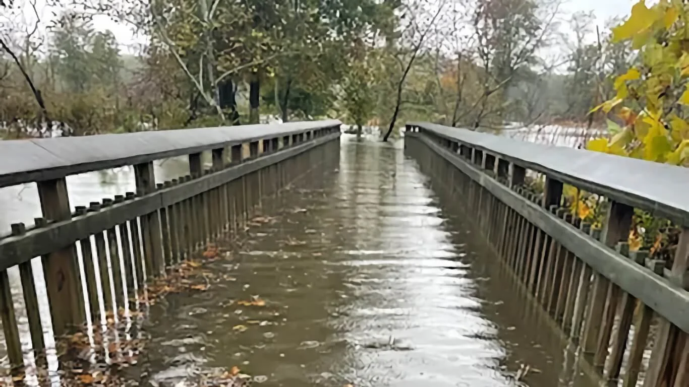  Ward 7 Group Prepares Homeowners to ‘Survive, Adapt, Thrive’ During Natural Disasters 