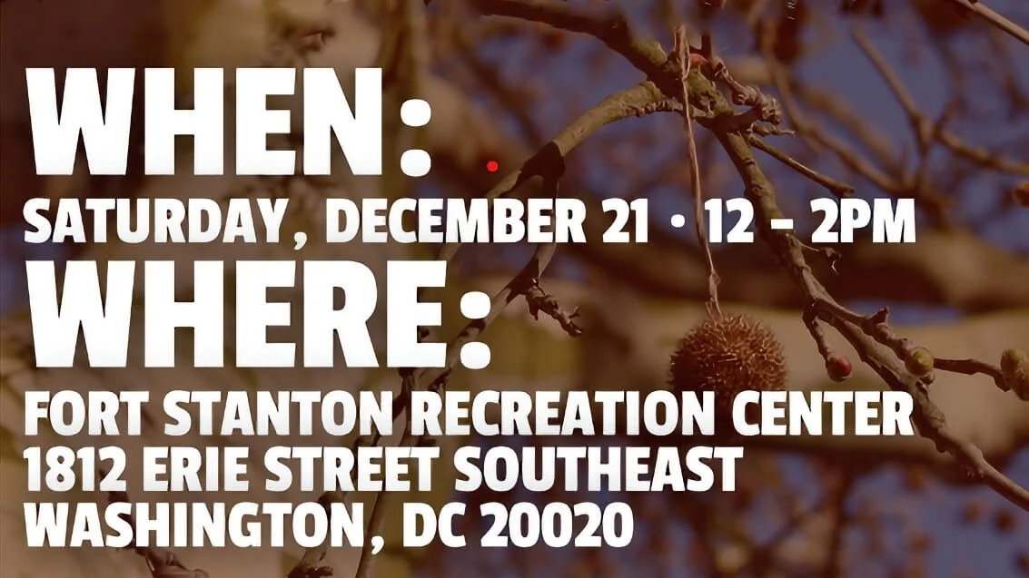 Rooted In Nature: A Winter Solstice Gathering