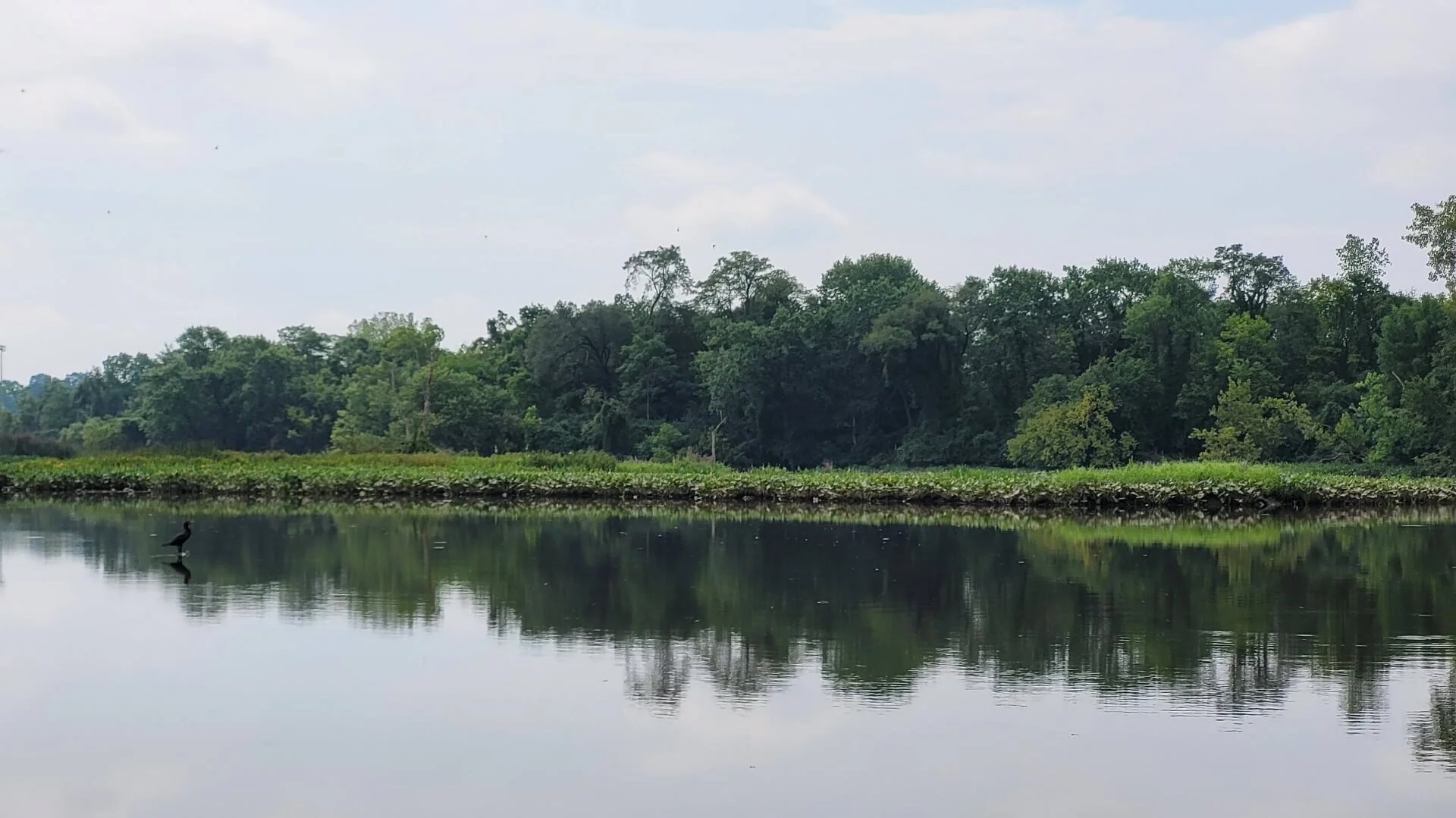 Press Release: Attorney General Schwalb Sues U.S. Government for 150+ Years of Polluting the Anacostia River