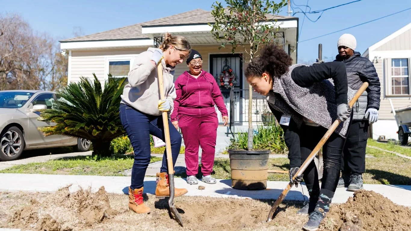 Is Planting Trees 'DEI'? Trump Administration Cuts Nationwide Tree-Planting Effort