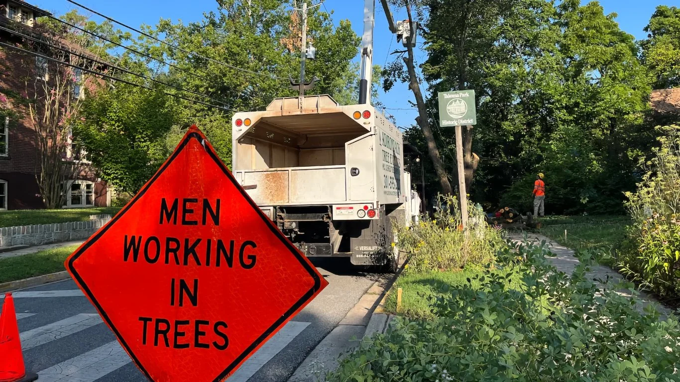 WaPo: Why the Trees in my Neighborhood are Disappearing