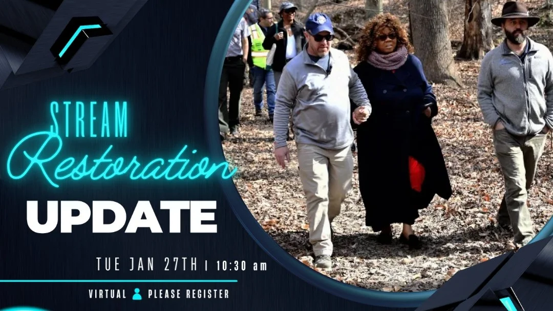 Stream Restoration Update