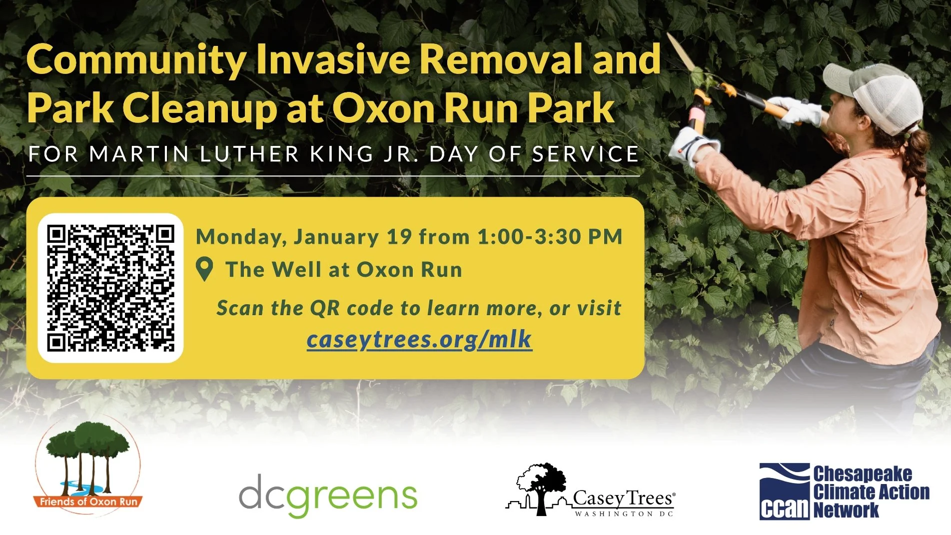 Community Invasive Removal and Park Cleanup at Oxon Run Park