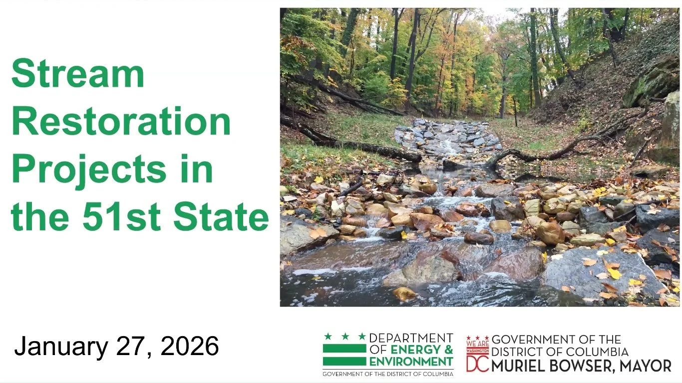 Stream Restoration Update